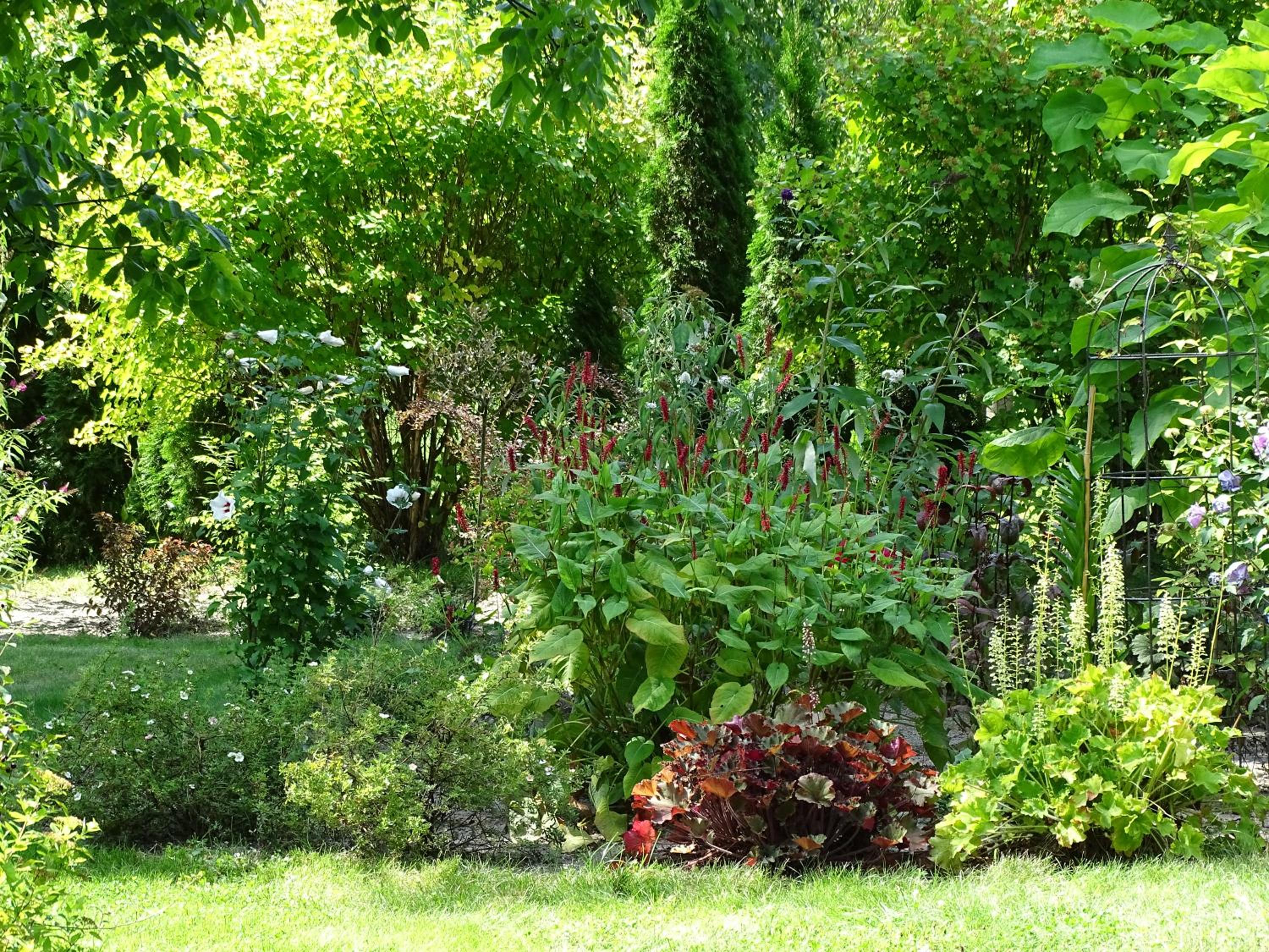 Photo 48