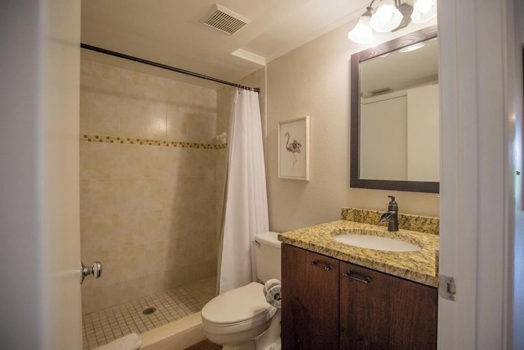 No damage Beautiful and Relaxing Condo min from St Pete beach Discnt available