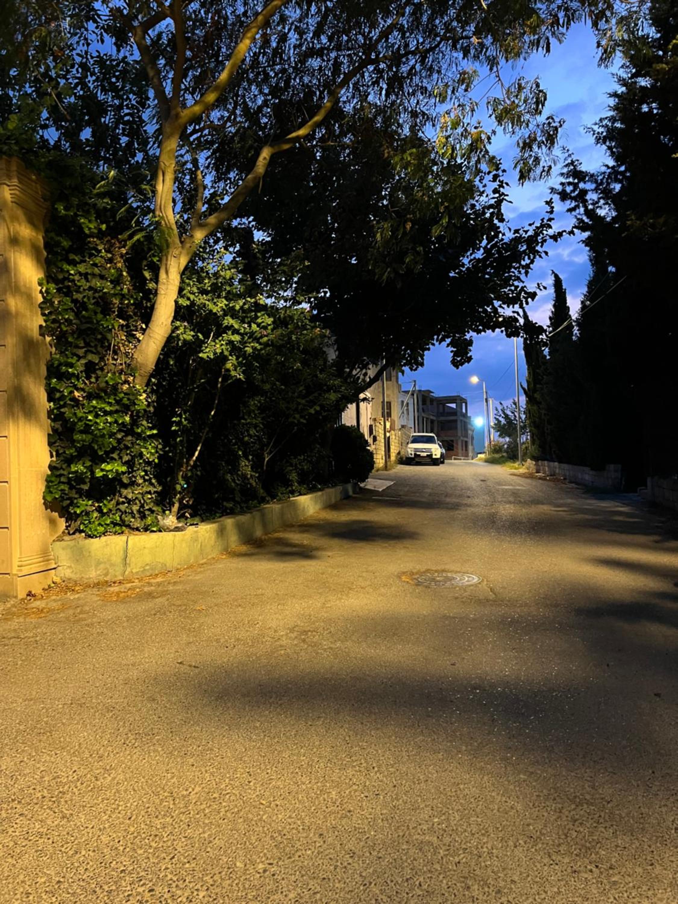 Bağ evi