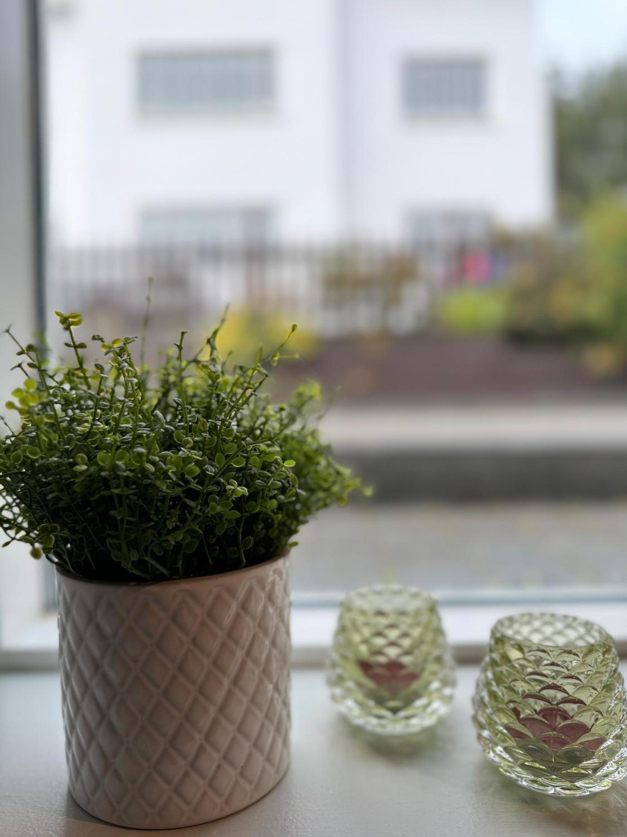 Scandinavian retro
