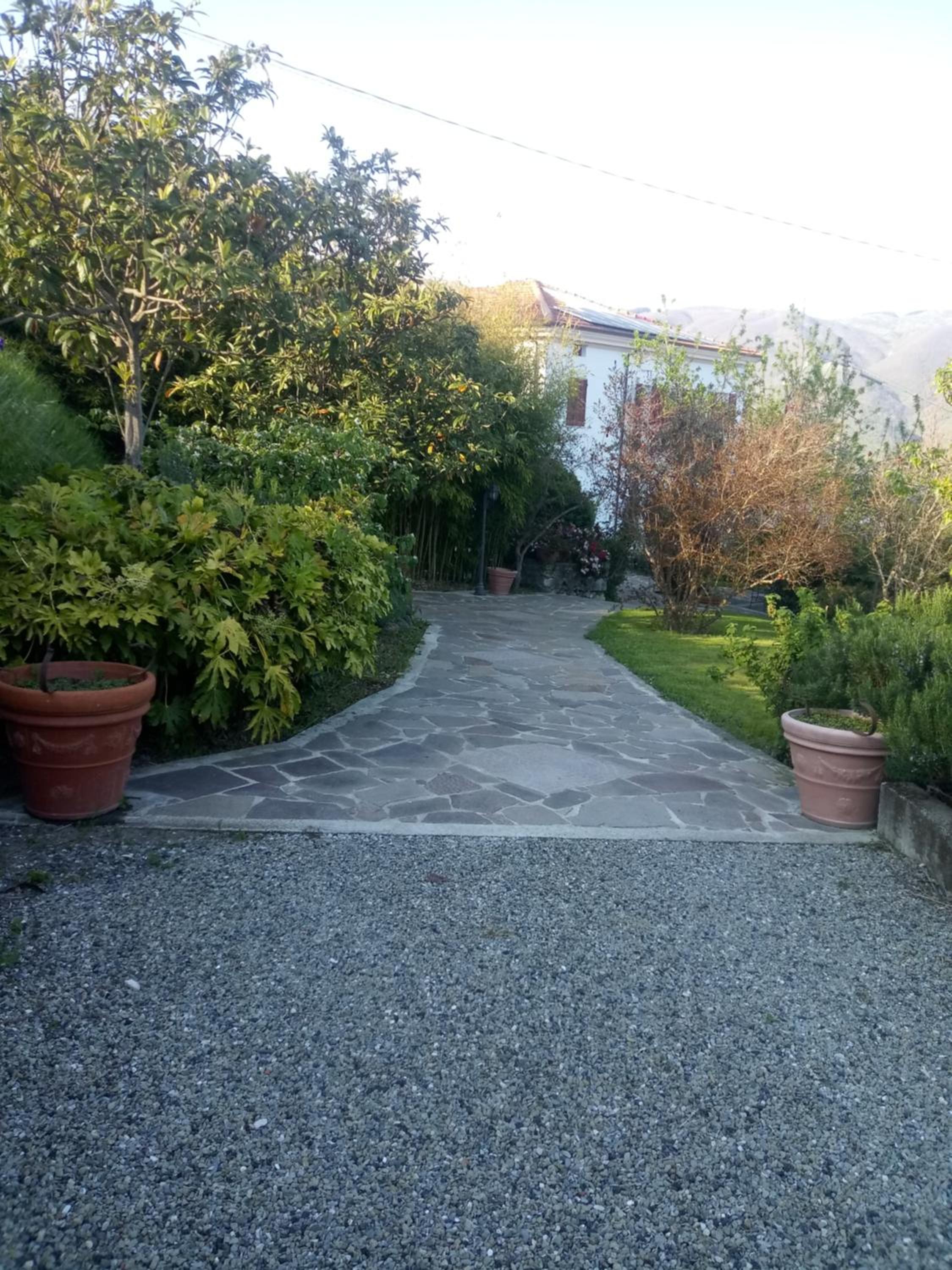 Photo 35