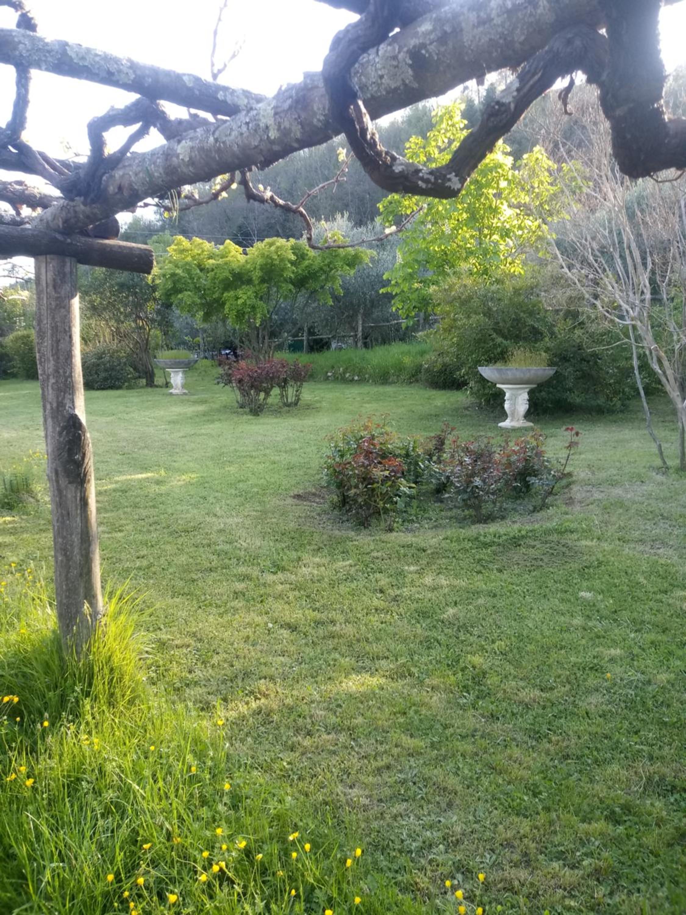 Photo 32