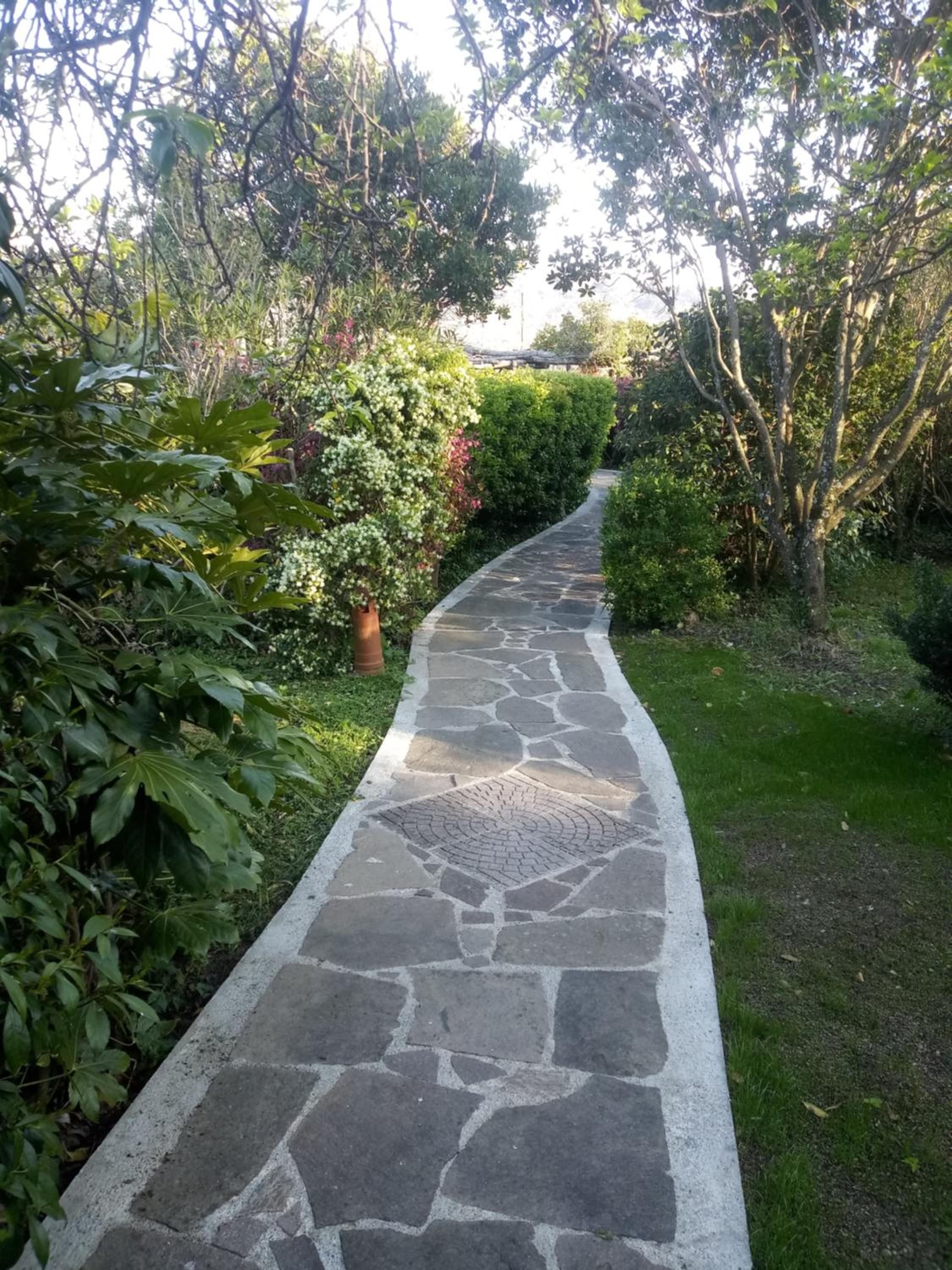 Photo 33