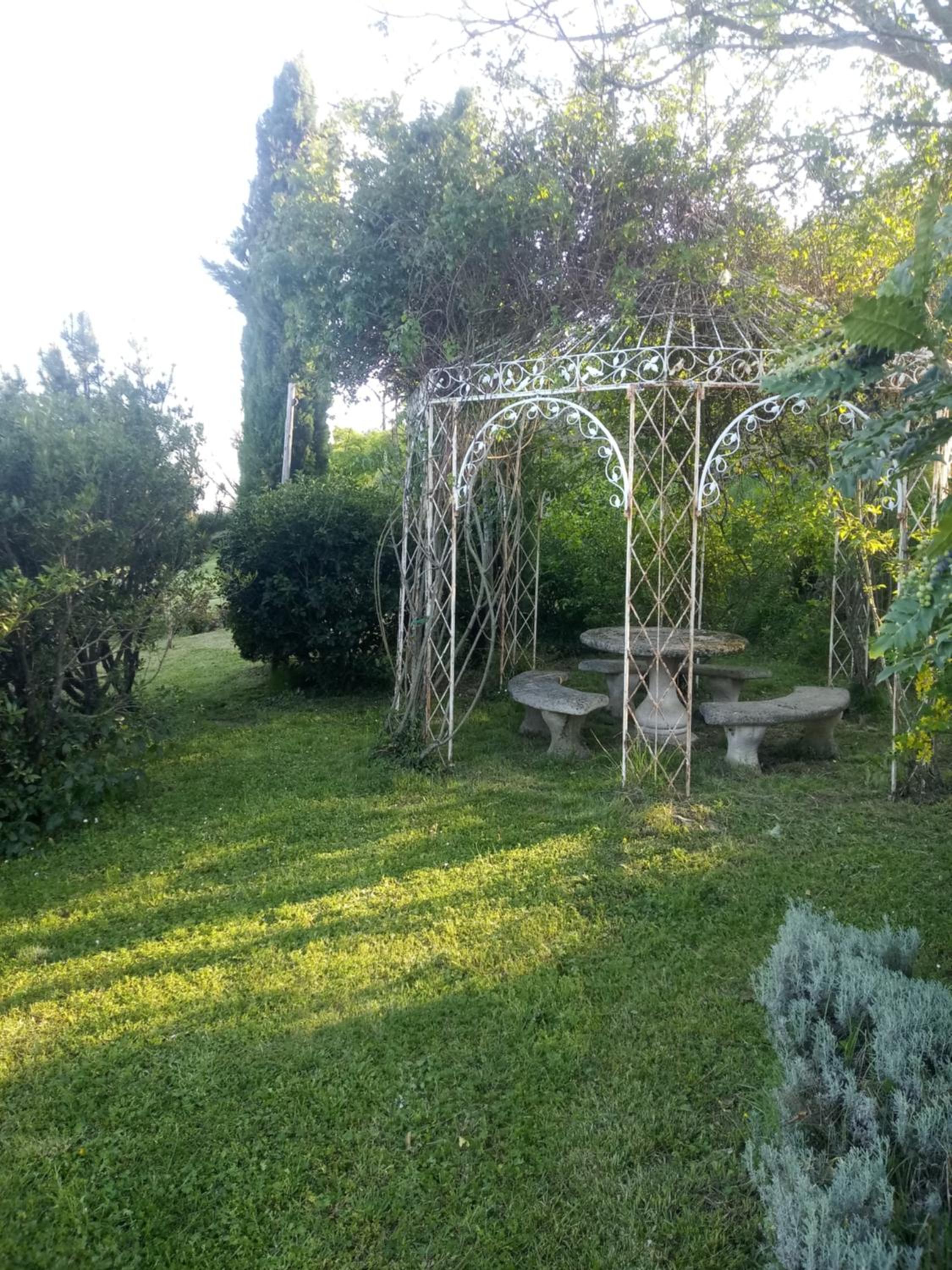 Photo 37