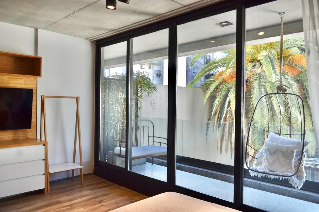 La palmera Estudio