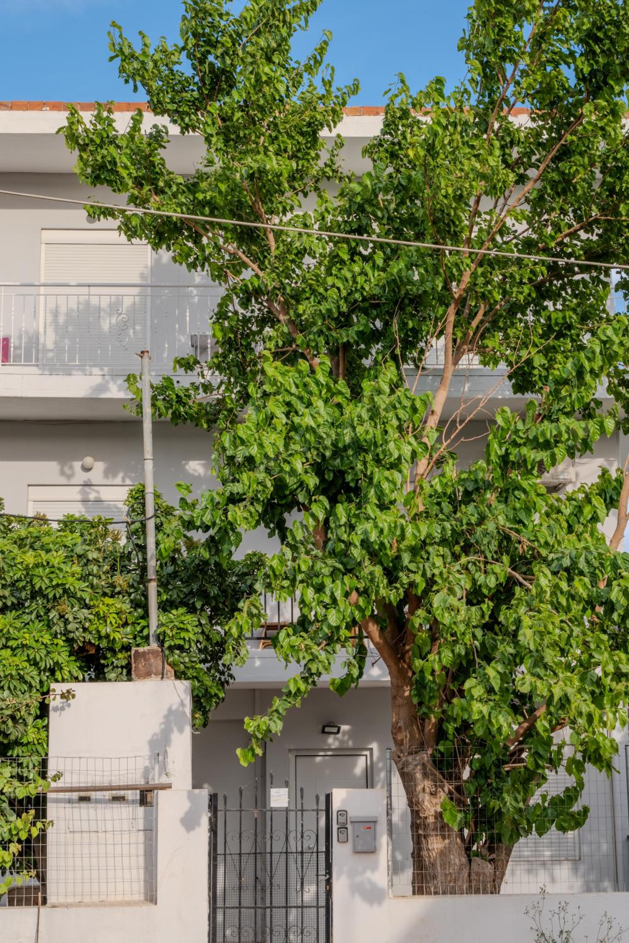 Nikos Lemon Garden Apartment photo 4