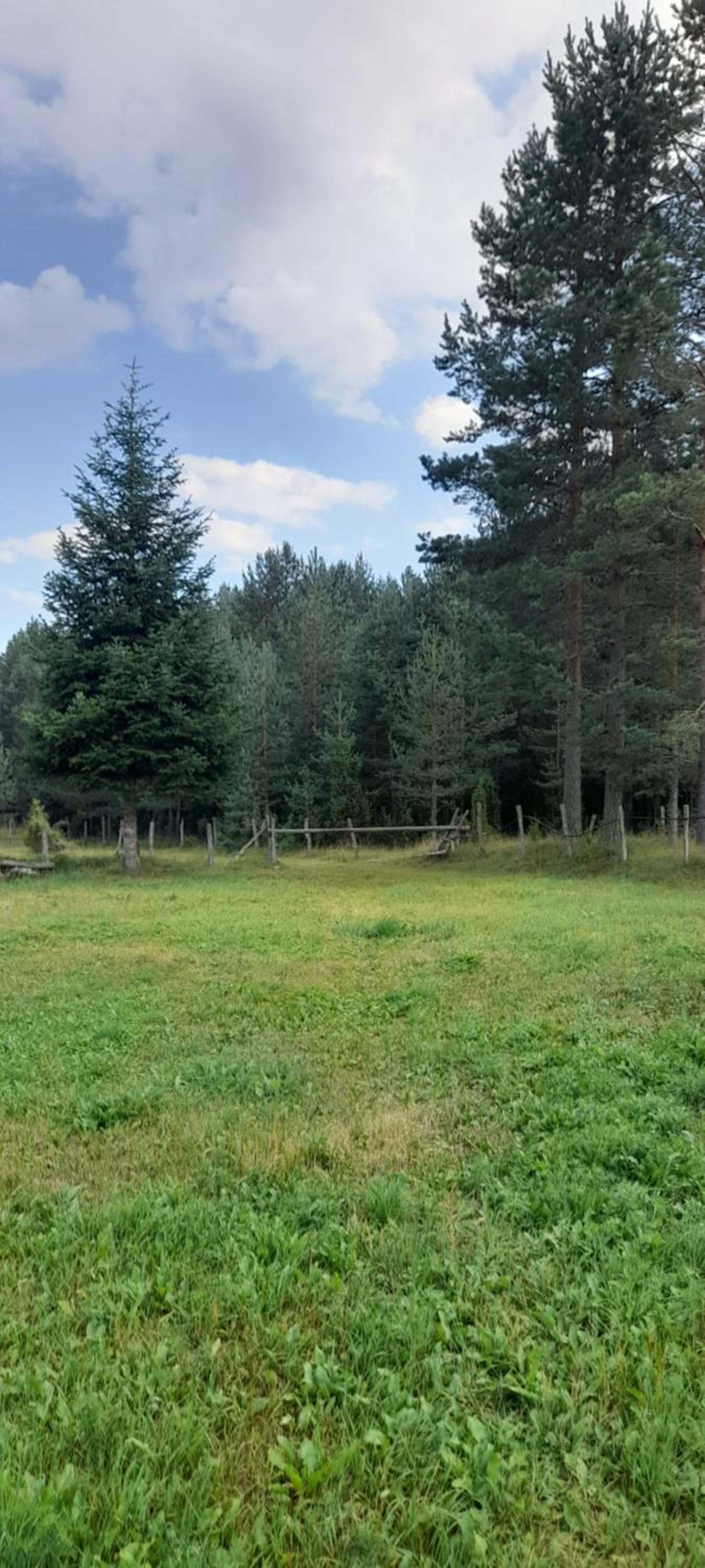 Holiday Home Krejović view 4