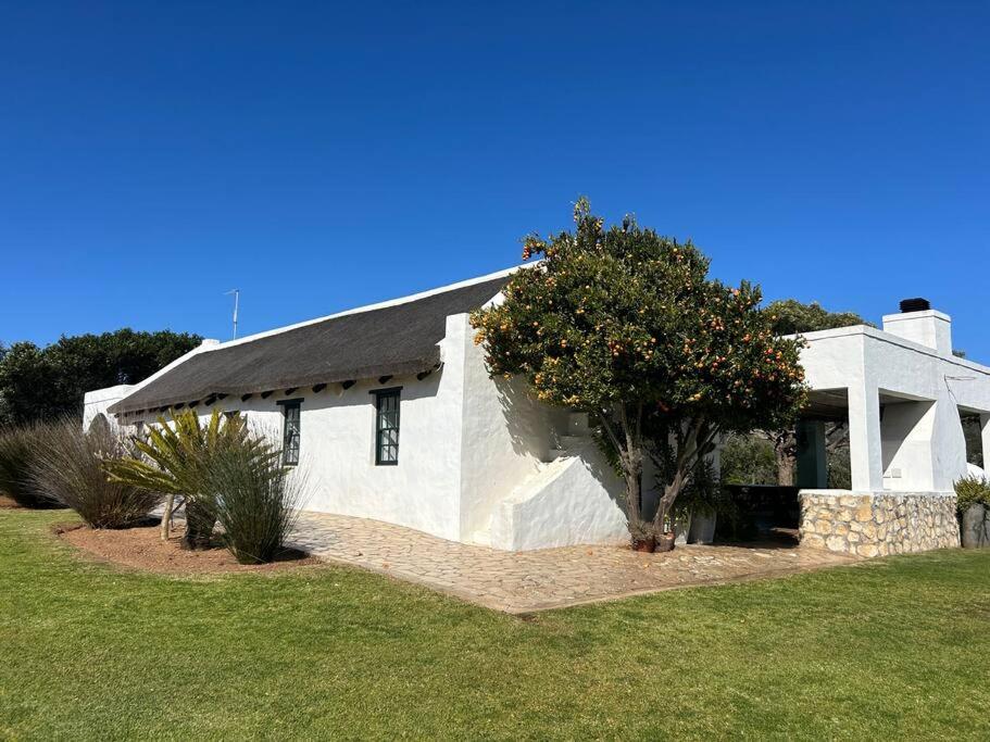 Rietpoel Truffle Farm Stilbaai view 3