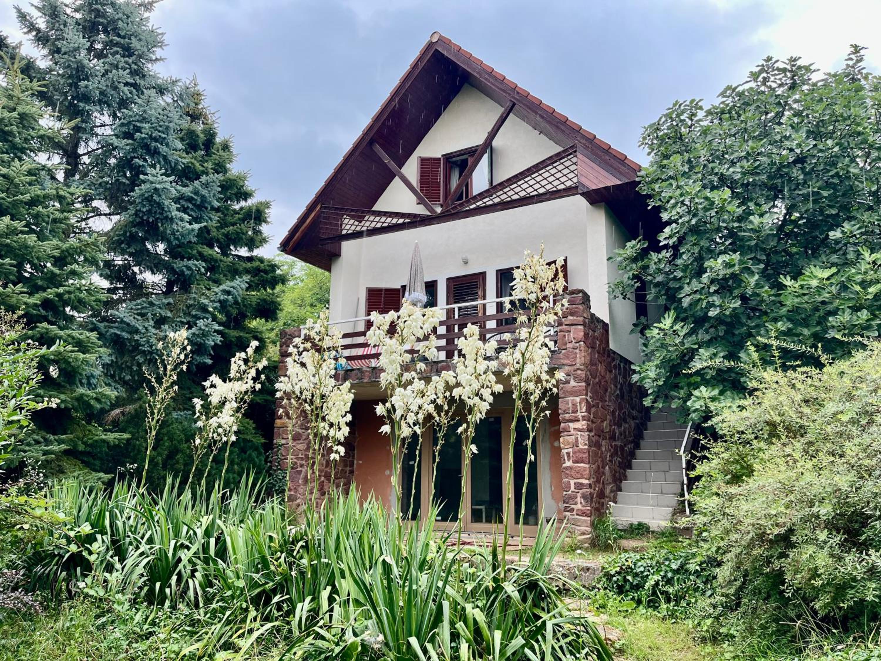 Vadrózsa apartman view 2