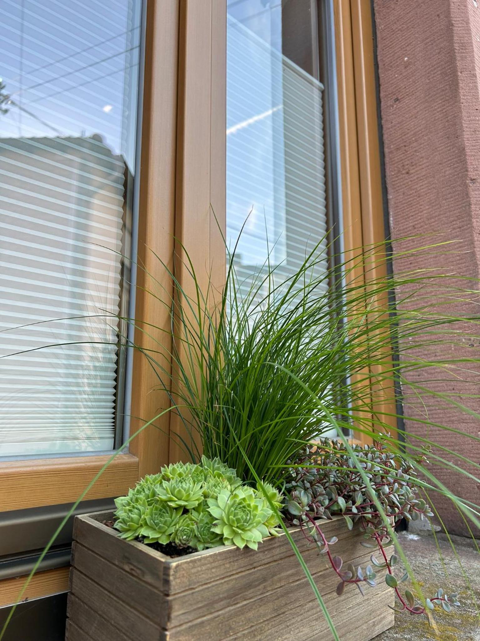 Ferienhaus Haisel Vier