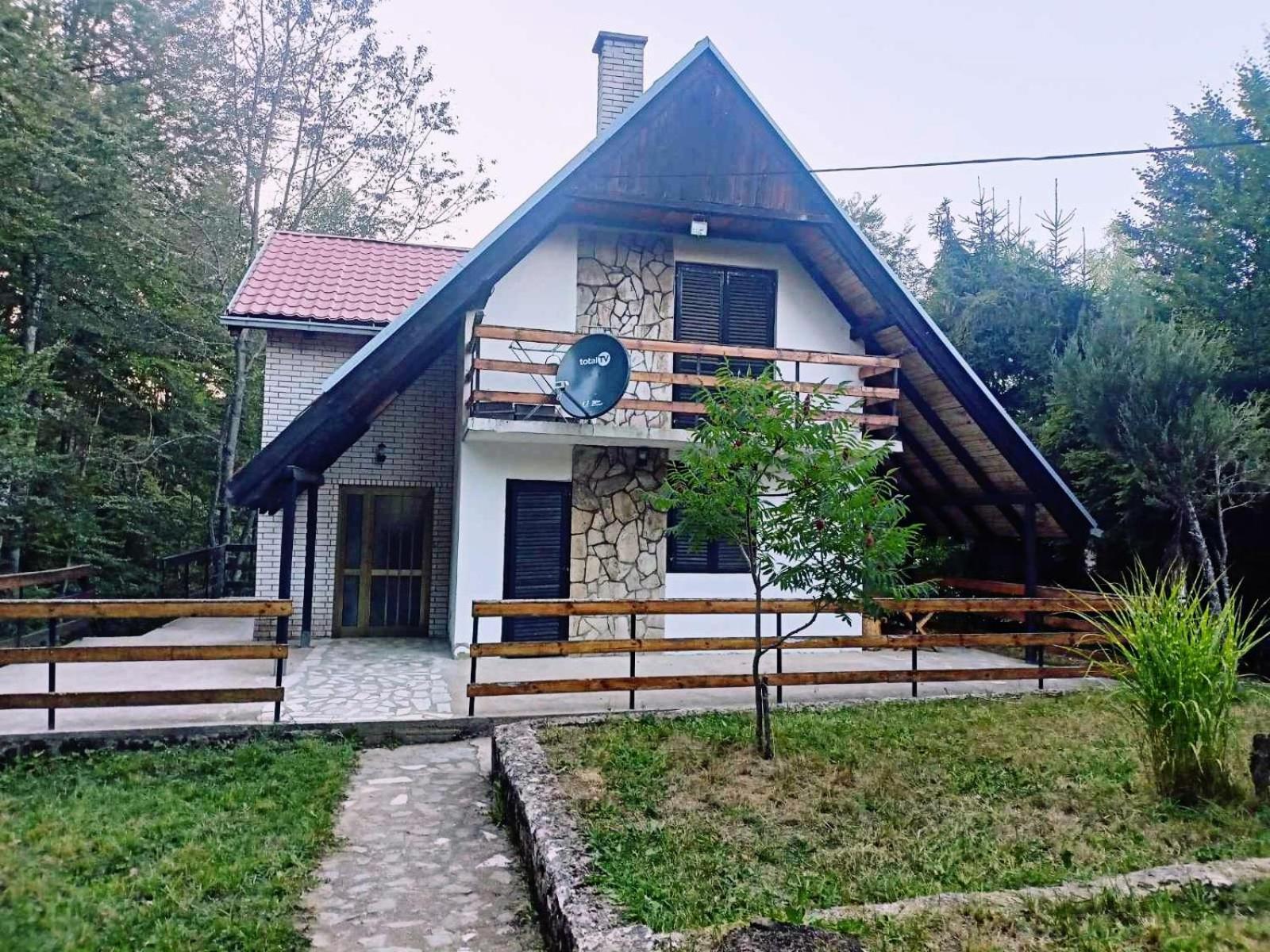 Vlasinsko jezero vila BiLiV view 3