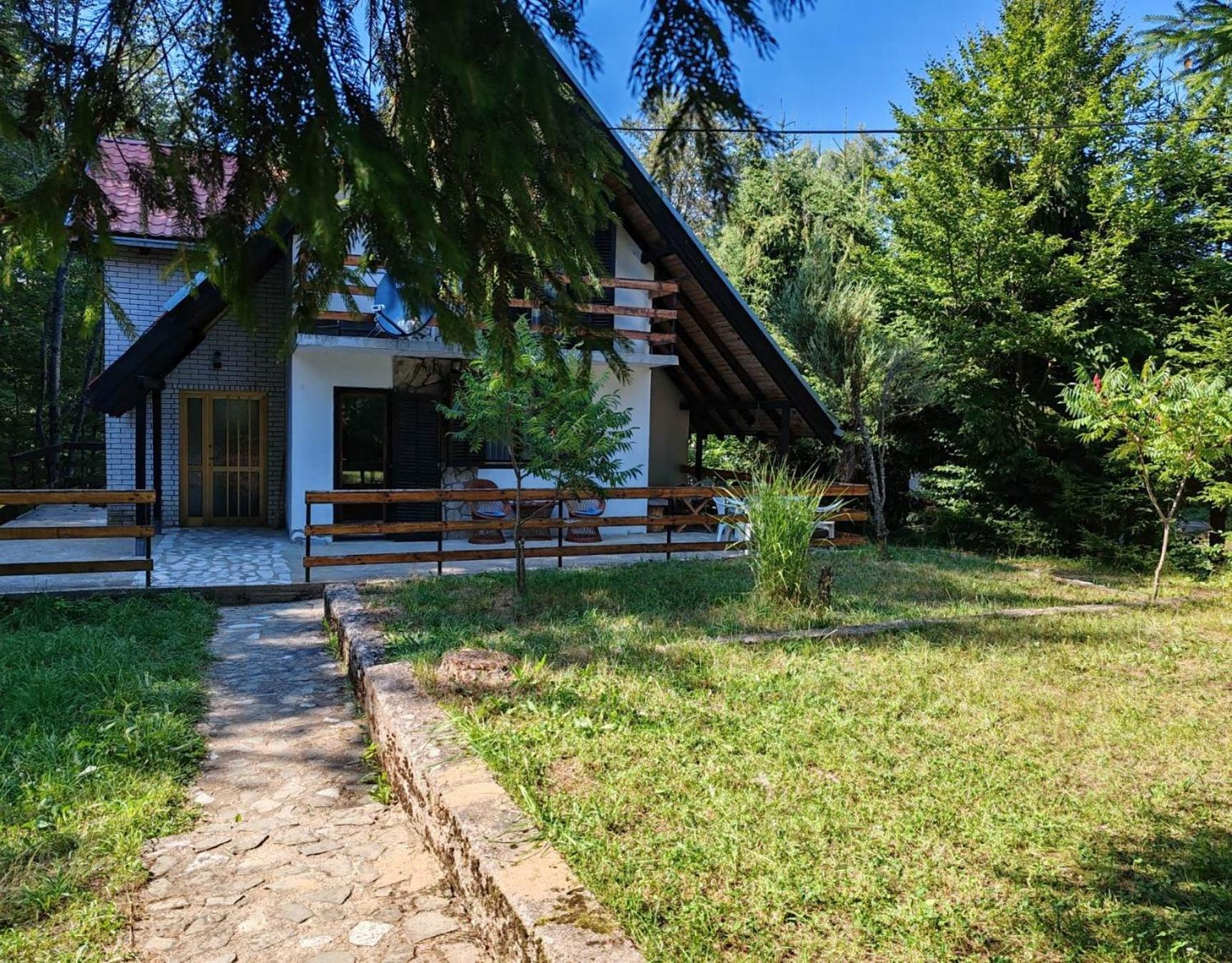 Vlasinsko jezero vila BiLiV view 2