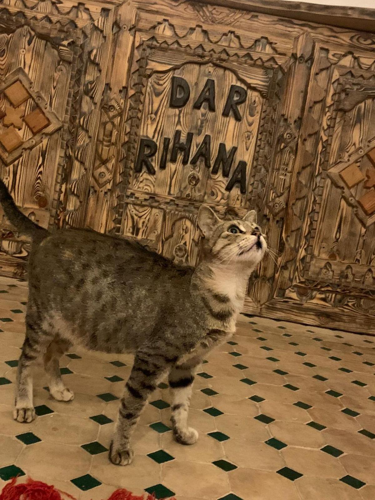 human