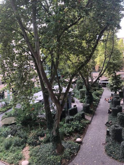 Spacious Elegance - A Central Gem
