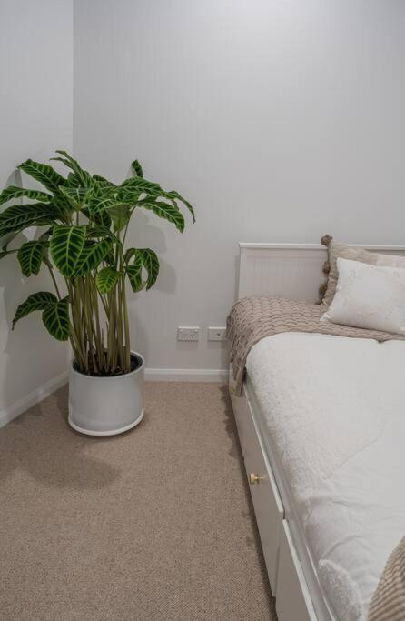 Lux Lakeside Apt - Gold Coast