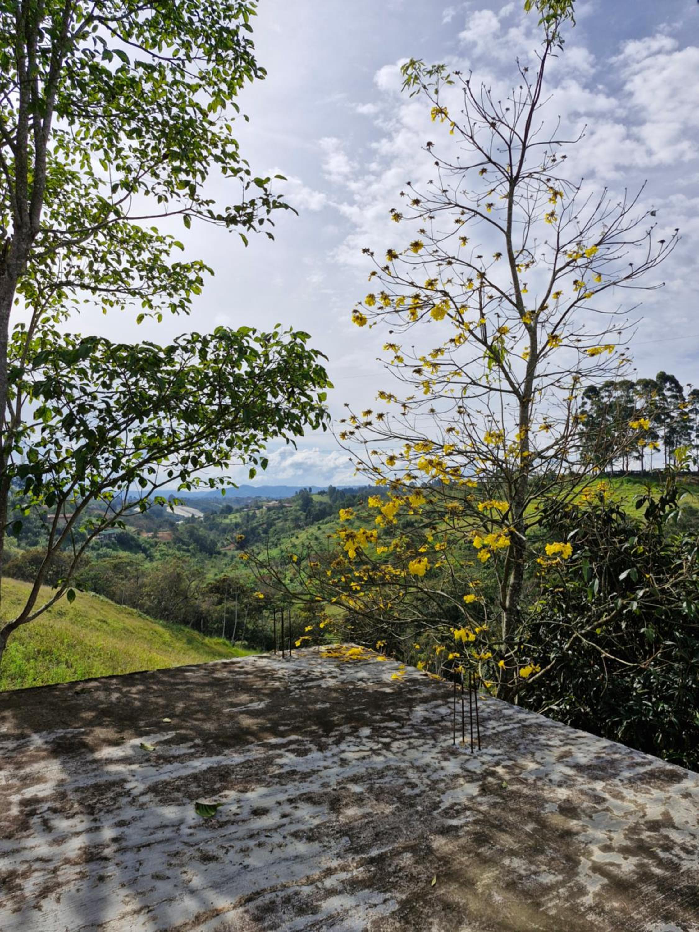EL RETORNO
