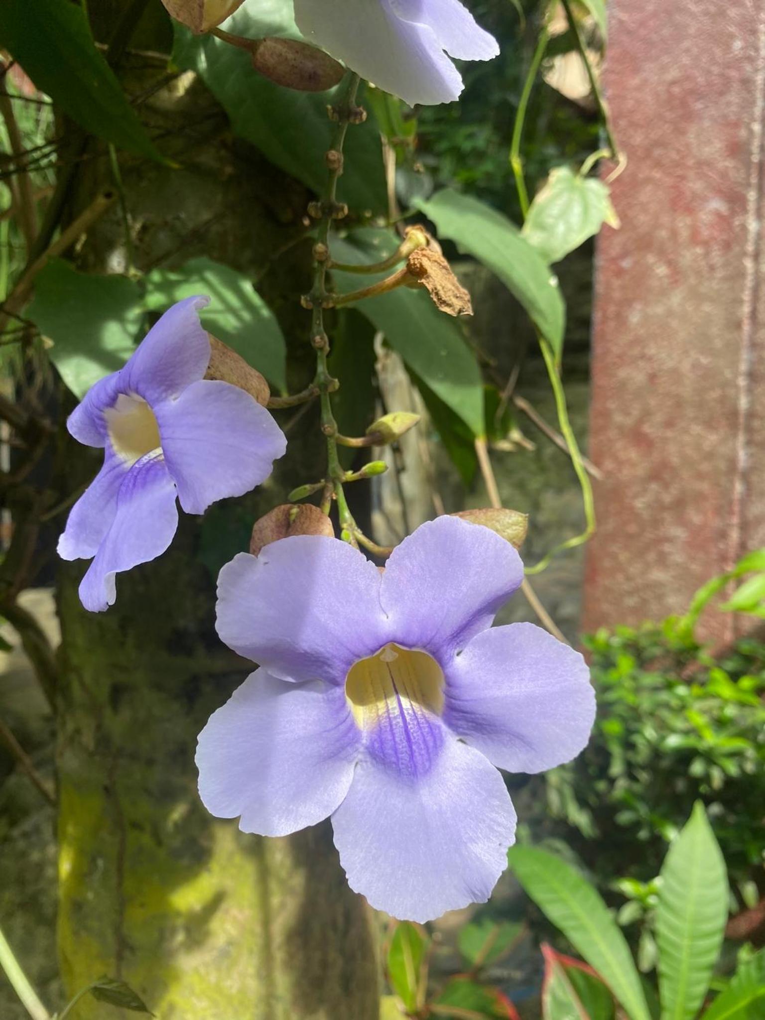 Eco Hostal La Perla Tayrona