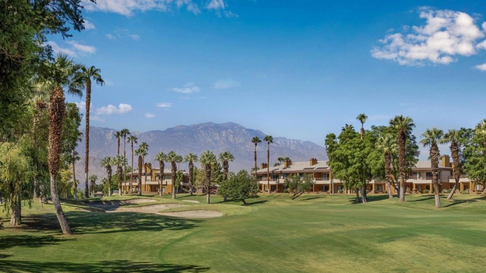 Marriott Desert Springs Villas I - Studio view 4