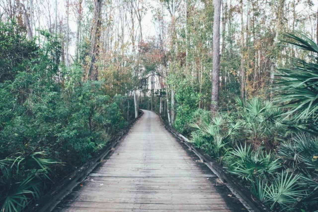 Enjoy Orlando Family Getaway in 2BD condo with lots of onsite activities