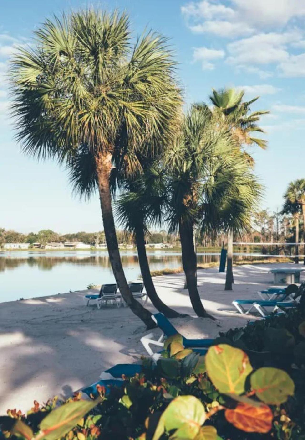 Near Disney 1BD vacation condo in beautiful resort with lots of amenities