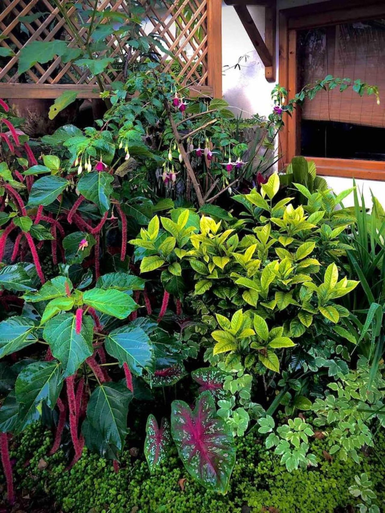 Lakefront Living Lovely Loft, San Marcos, Atitlan