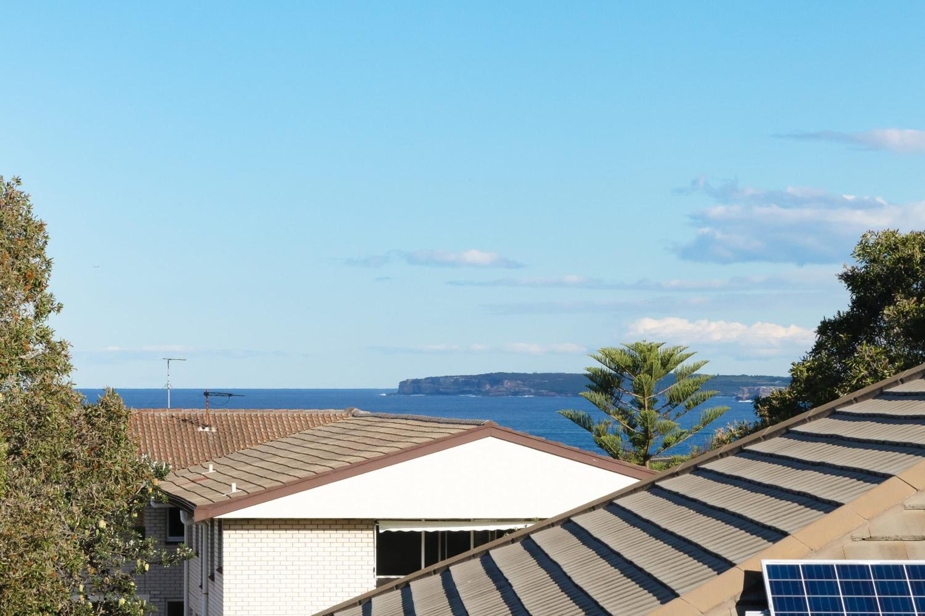 Bondi Holiday Home - Garden