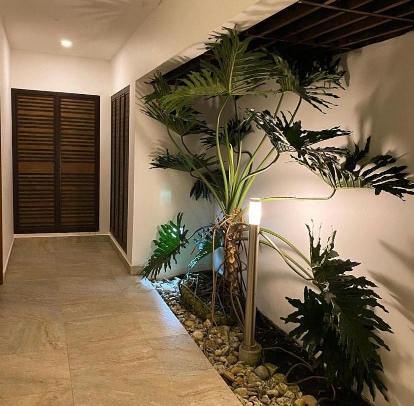 Casa Nature