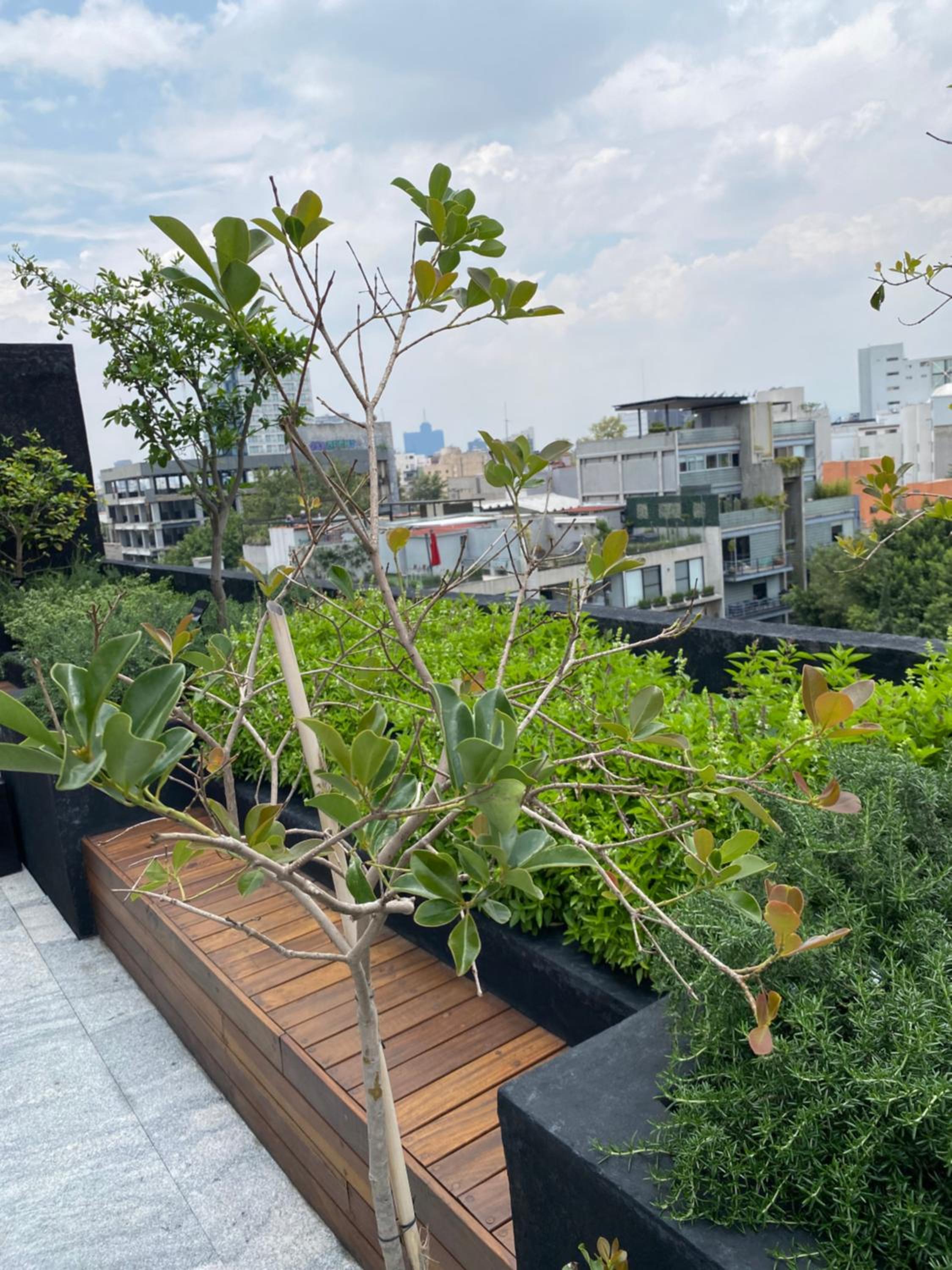 roof