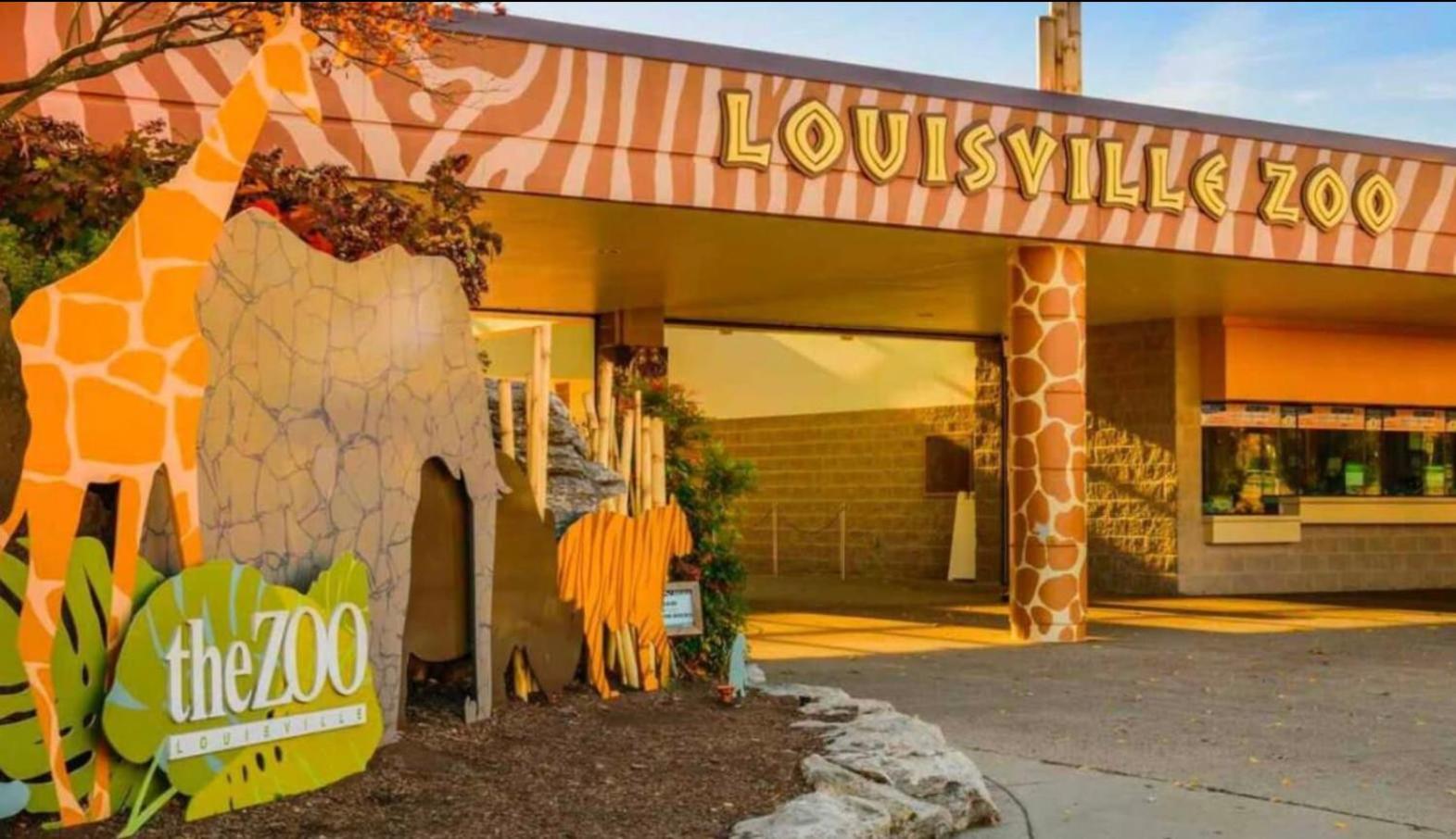 Louisville Vacations - 2-Storey Shipping Container Retreat - Property Image 13