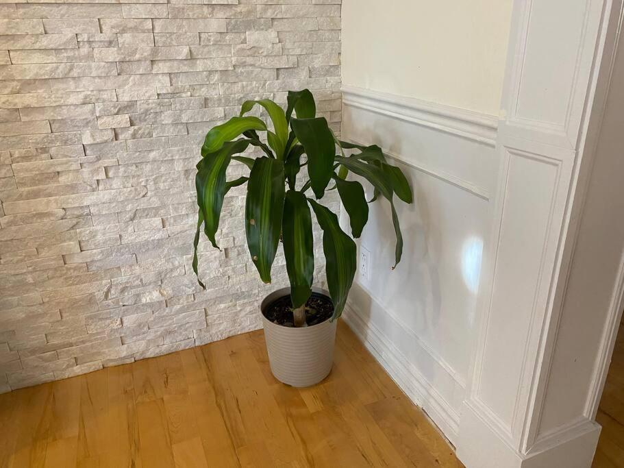 Spacious Luxury House Minutes To DownTown Montreal