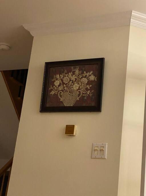 Spacious Luxury House Minutes To DownTown Montreal