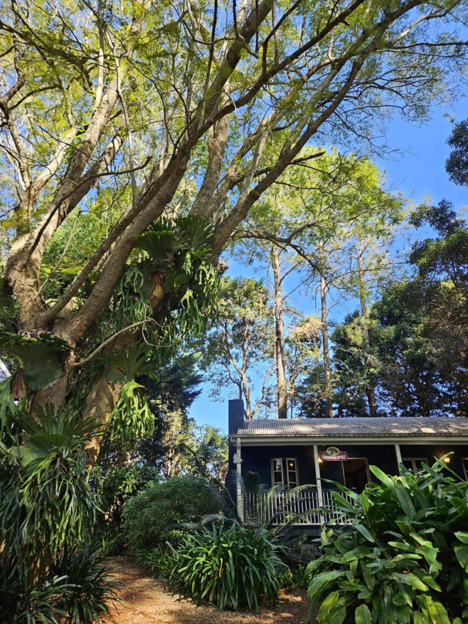 The Gamekeepers Spa Cottage in Tamborine Mountain