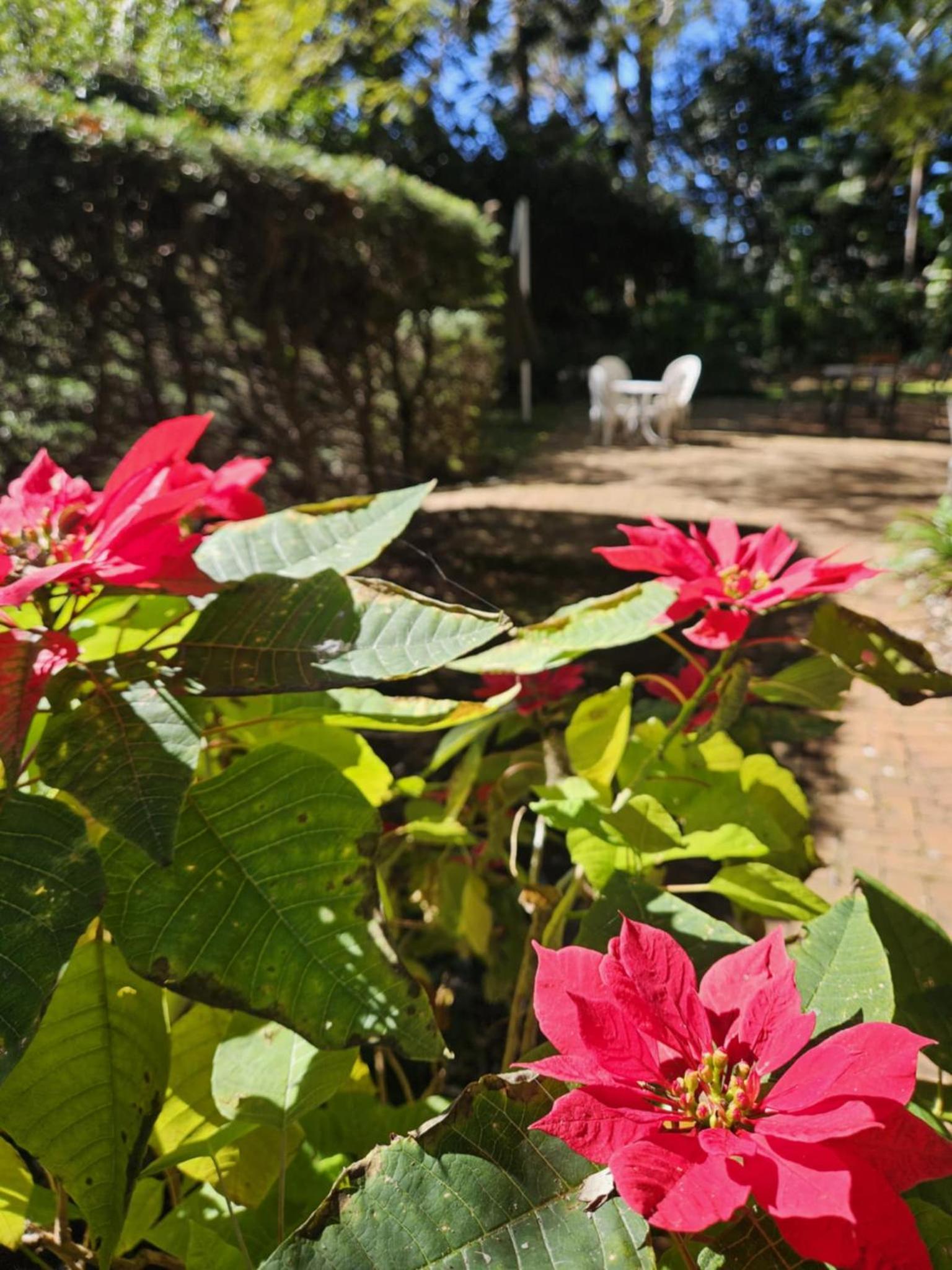 The Gamekeepers Spa Cottage in Tamborine Mountain