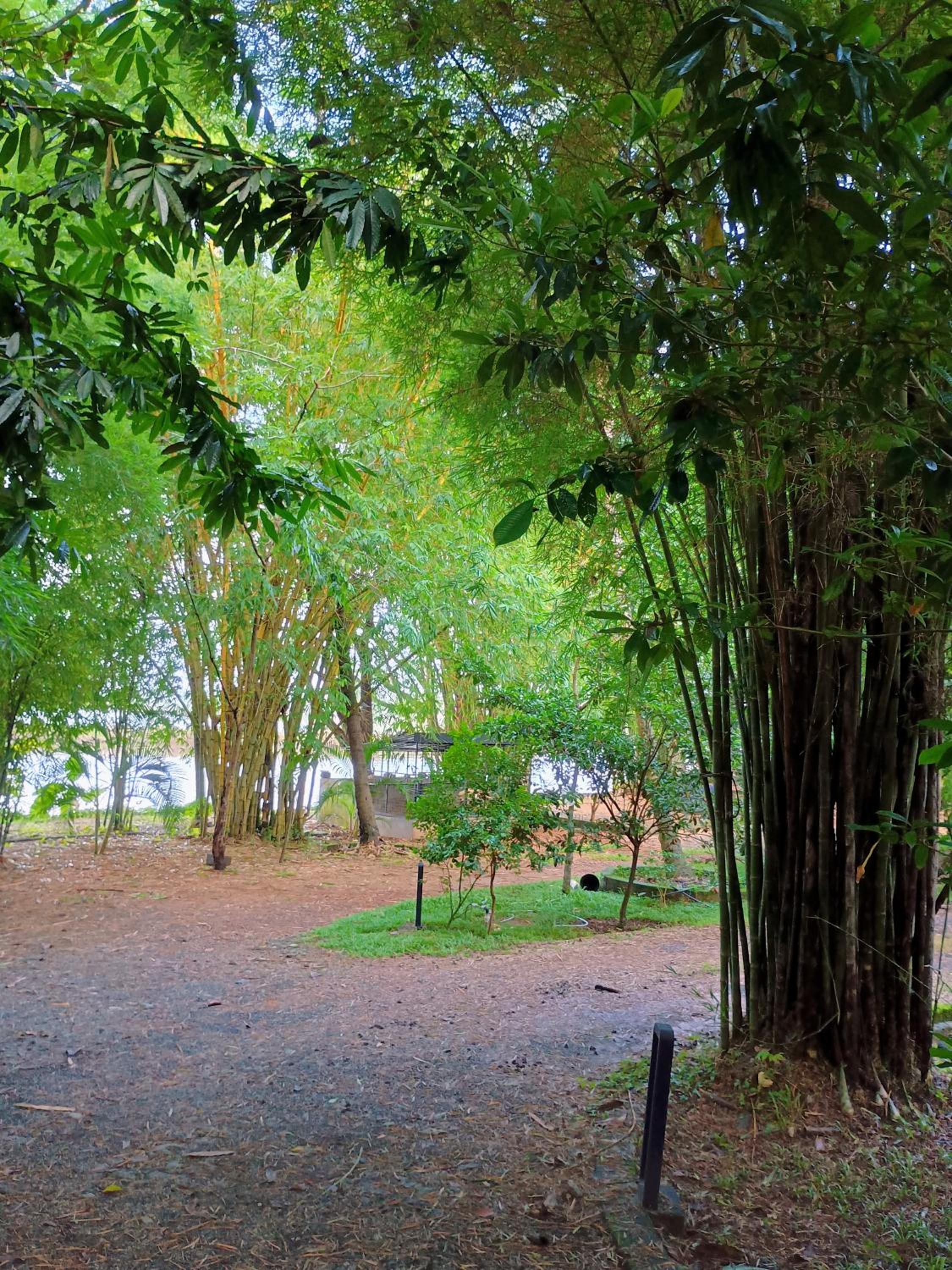 Green Haven Homestay