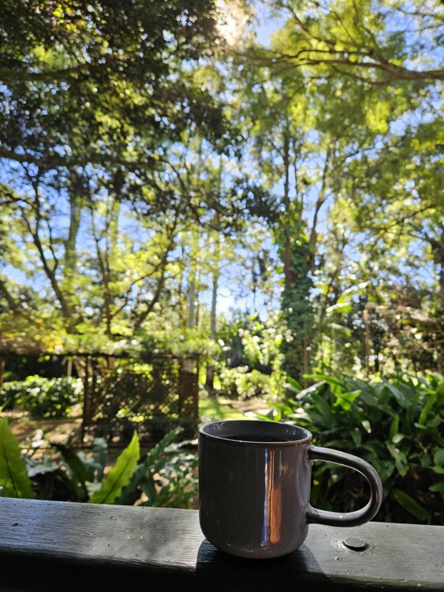 The Gamekeepers Spa Cottage in Tamborine Mountain