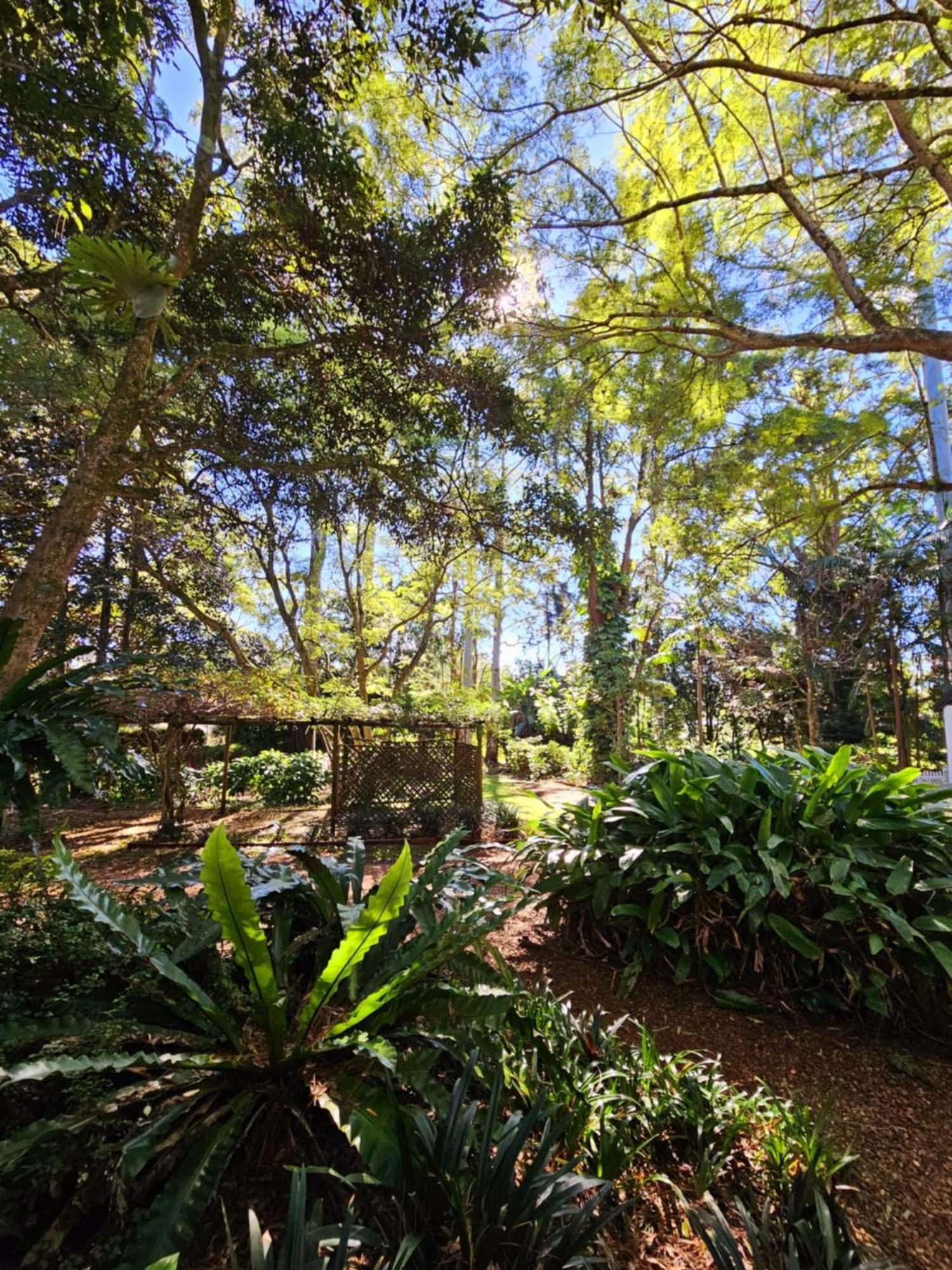 The Gamekeepers Spa Cottage in Tamborine Mountain