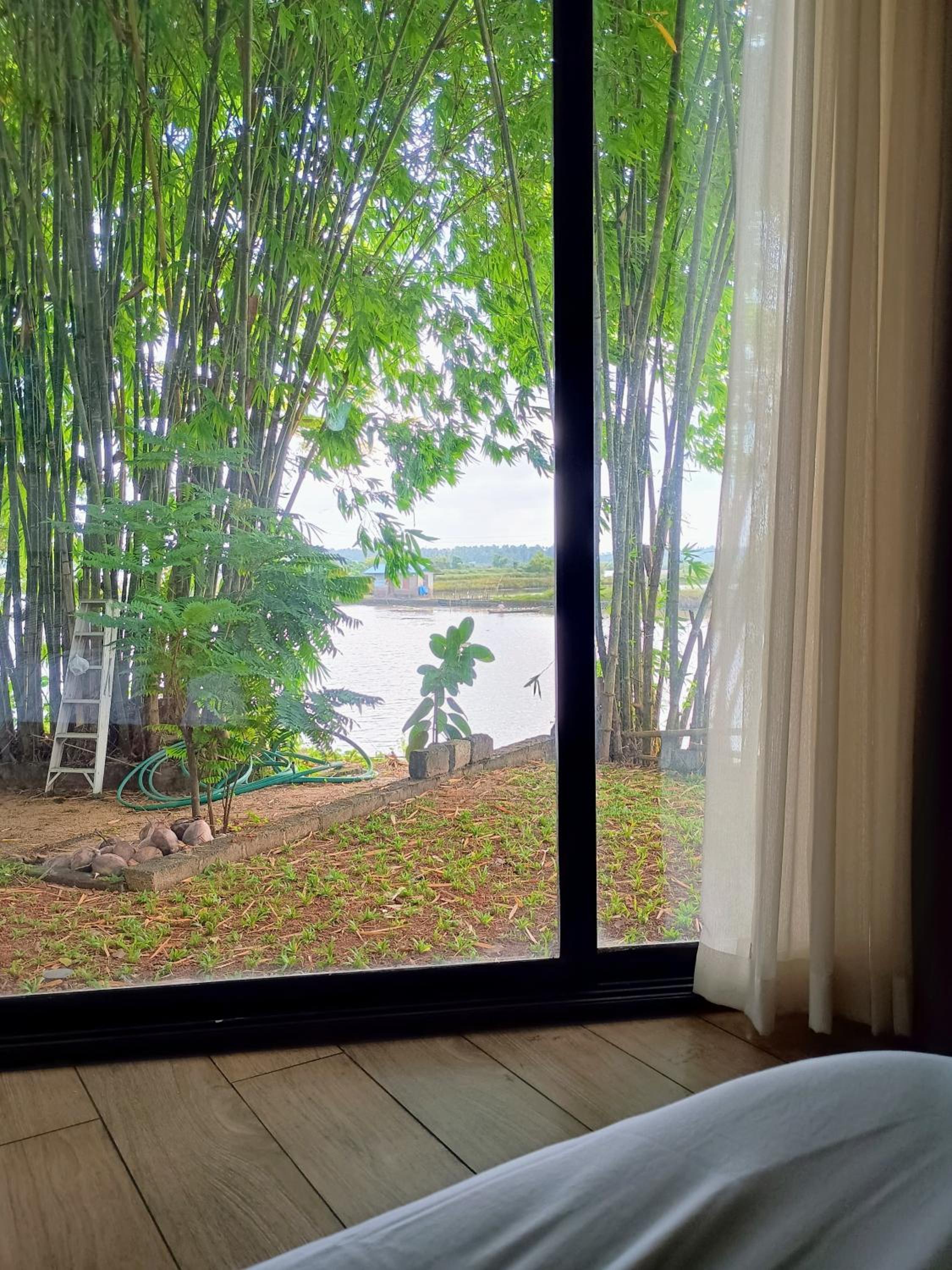 Green Haven Homestay