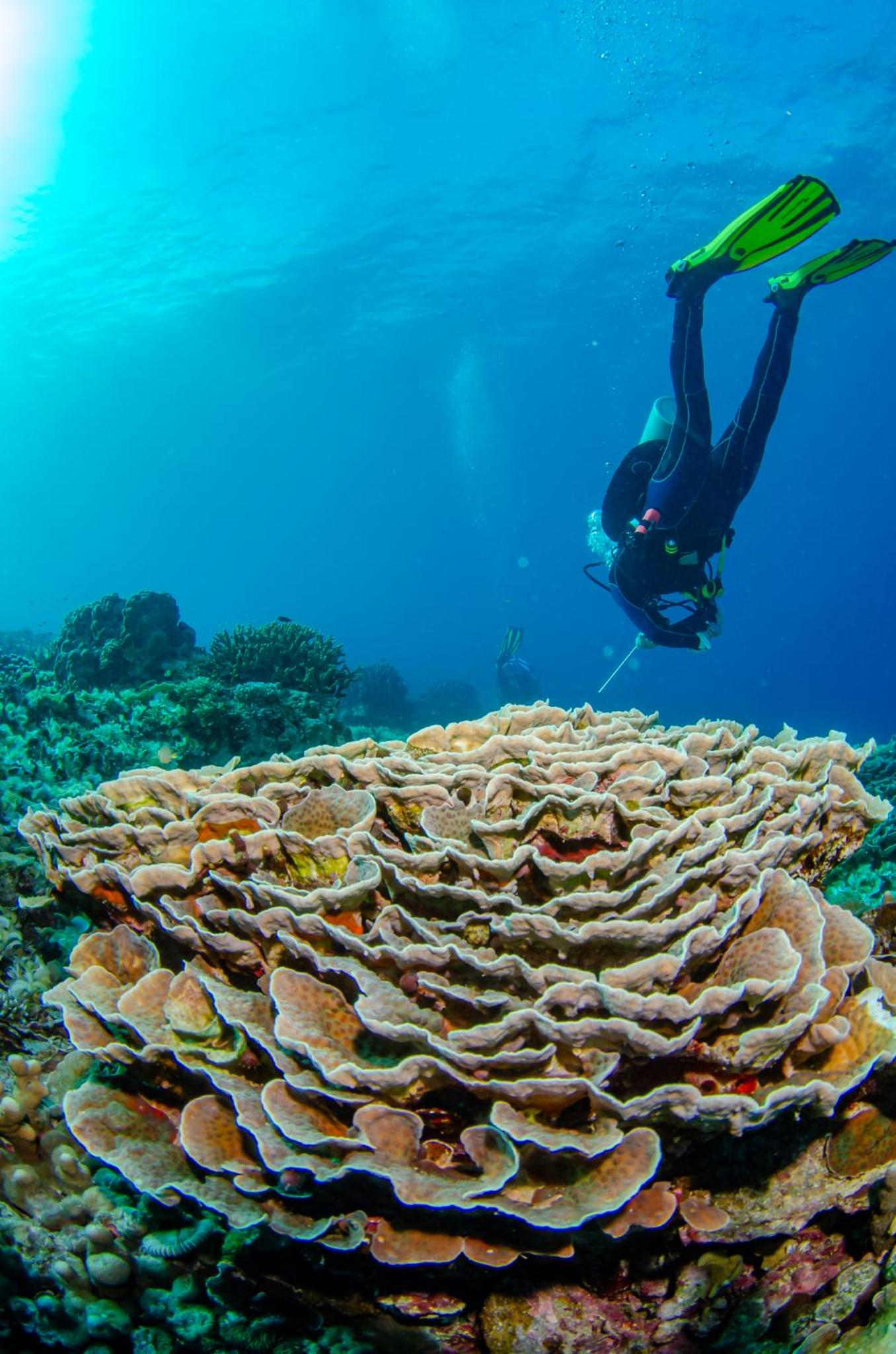 Tranquility Island Eco Dive Resort