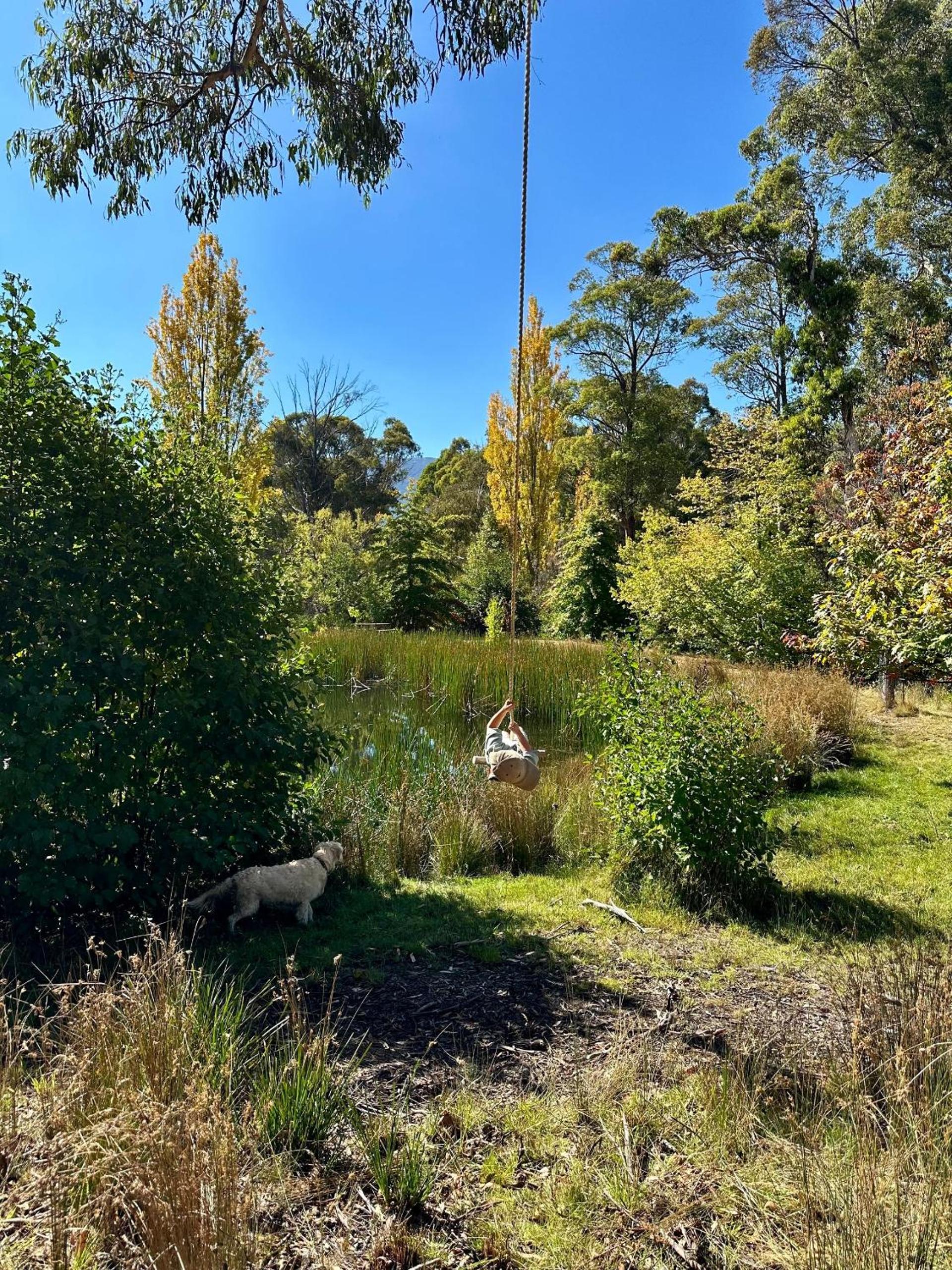 Snowgums Mountain Retreat