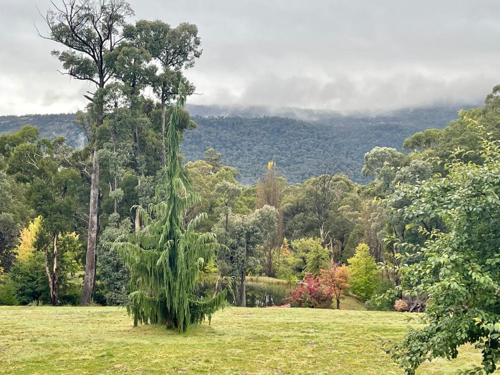 Snowgums Mountain Retreat