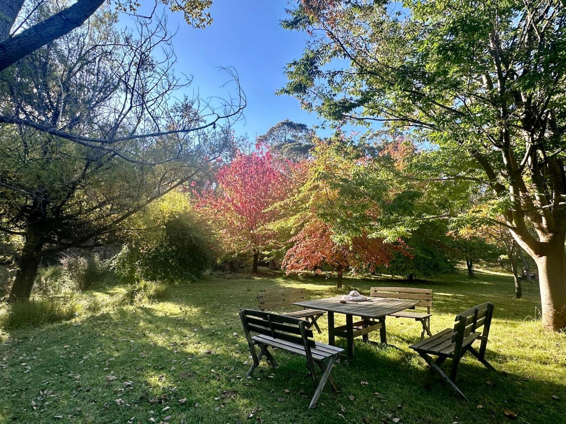 Snowgums Mountain Retreat