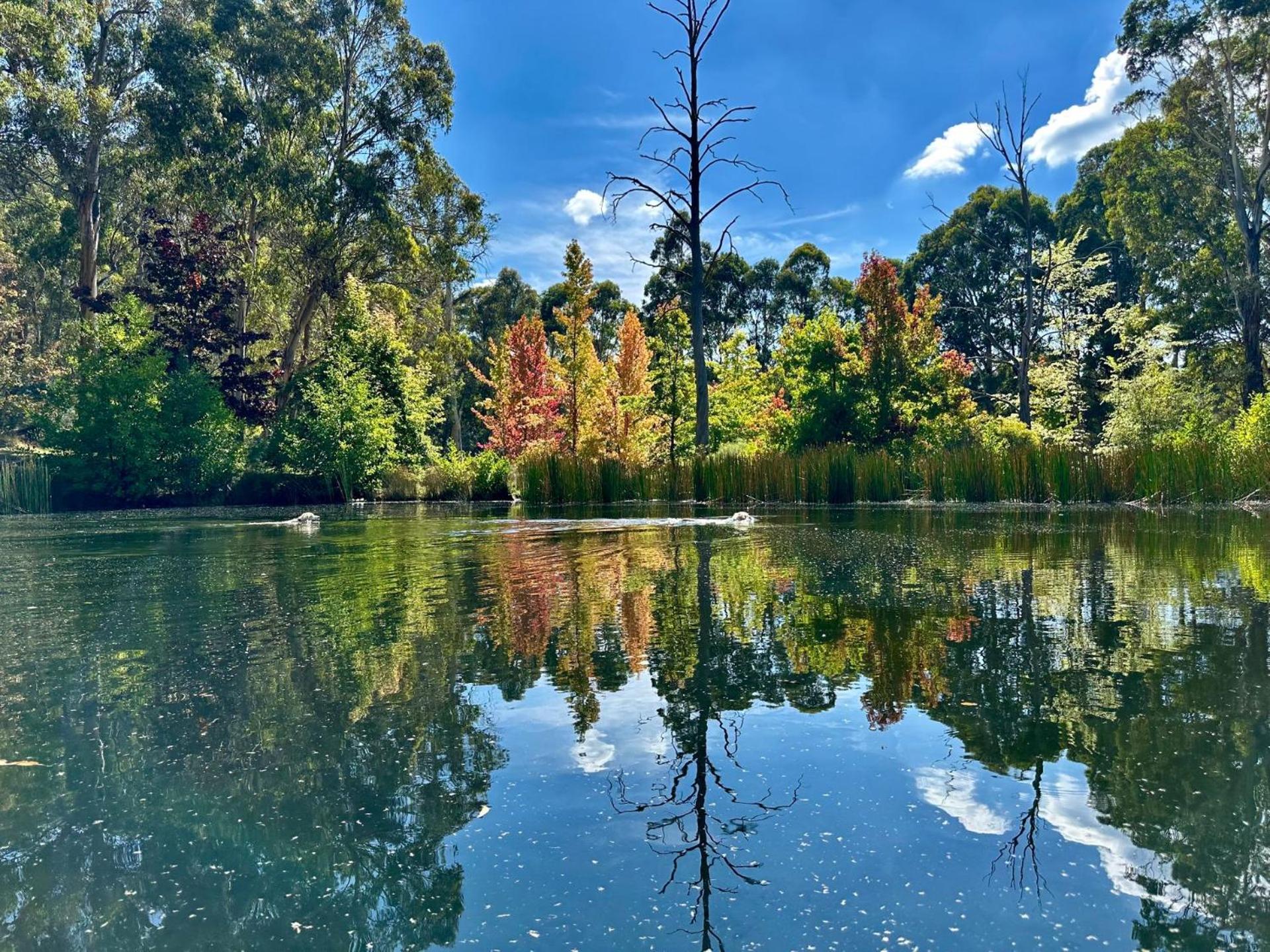 Snowgums Mountain Retreat