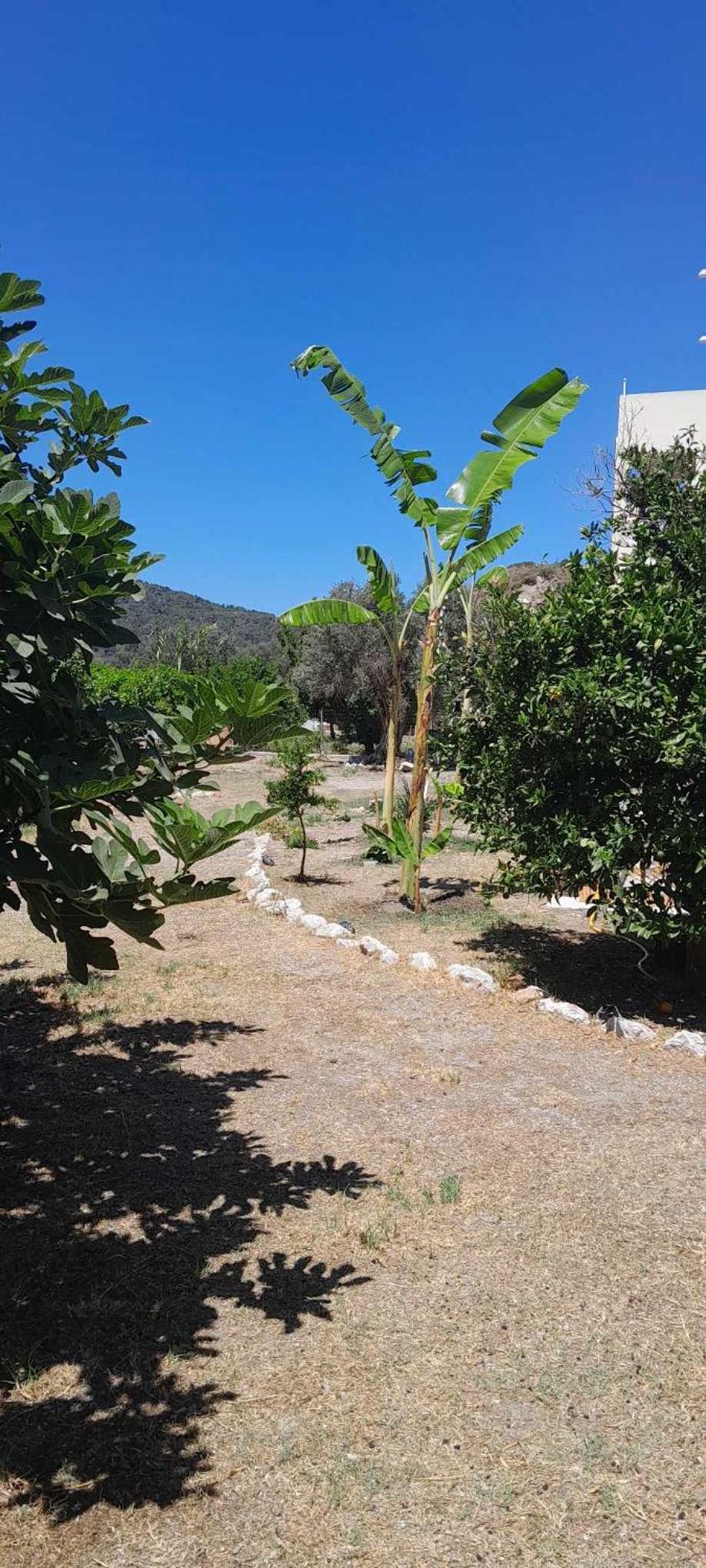 Casa Terra