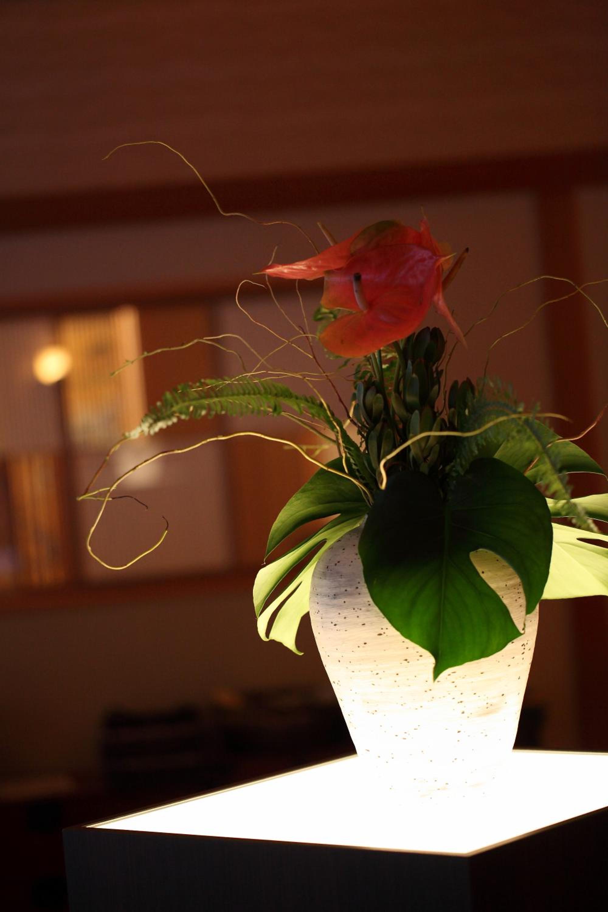 Kyo Yunohana Resort Suisen