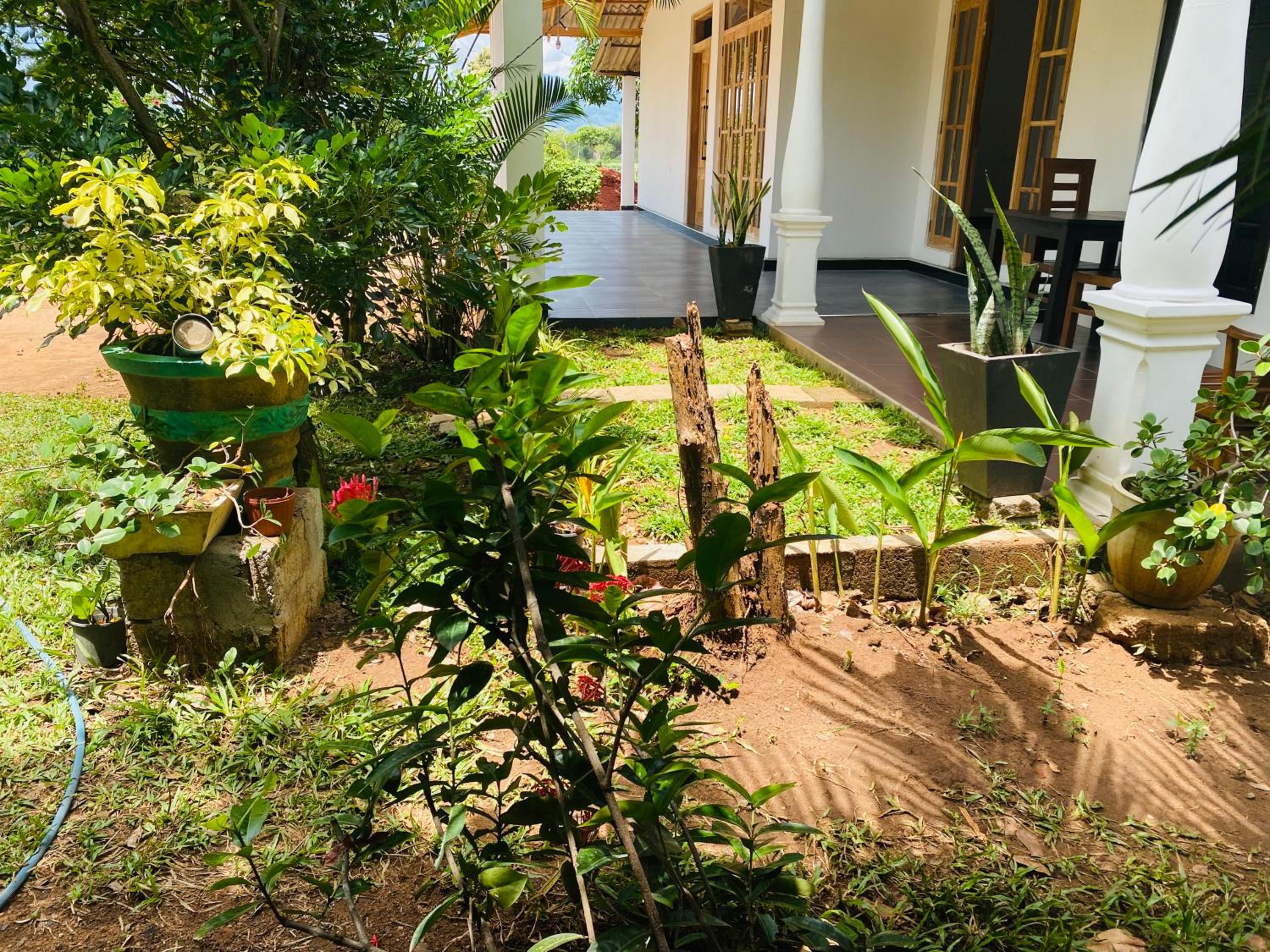 Fairview Dill homestay