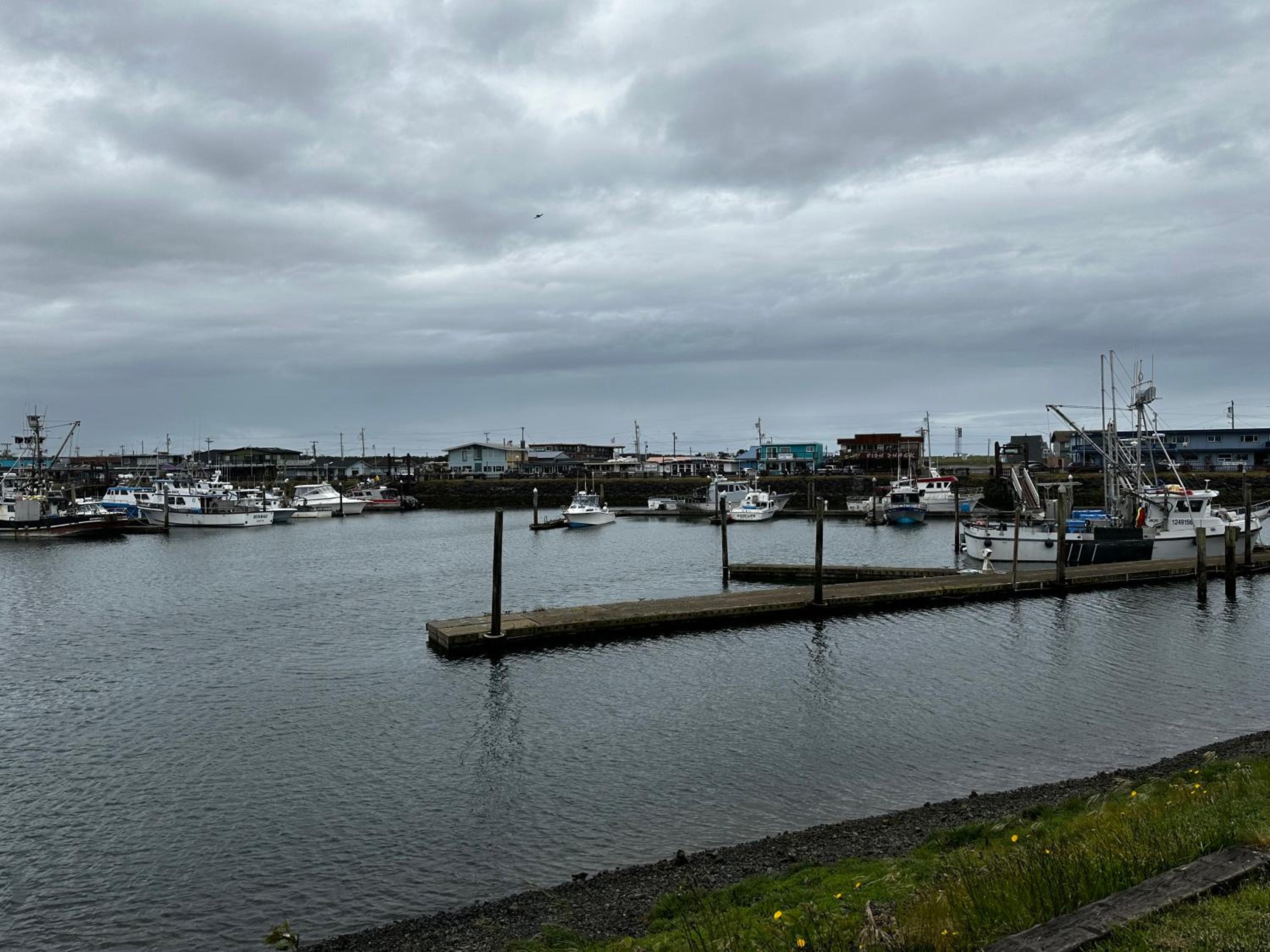 Westport Marina Cottages