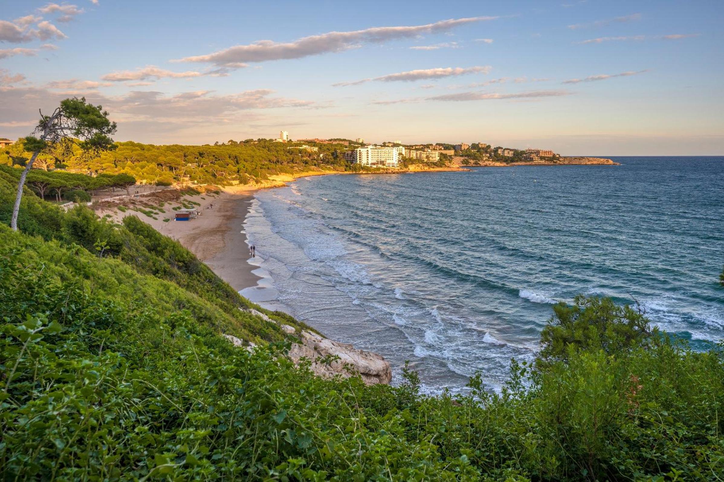 Les Ones Only families photo 4