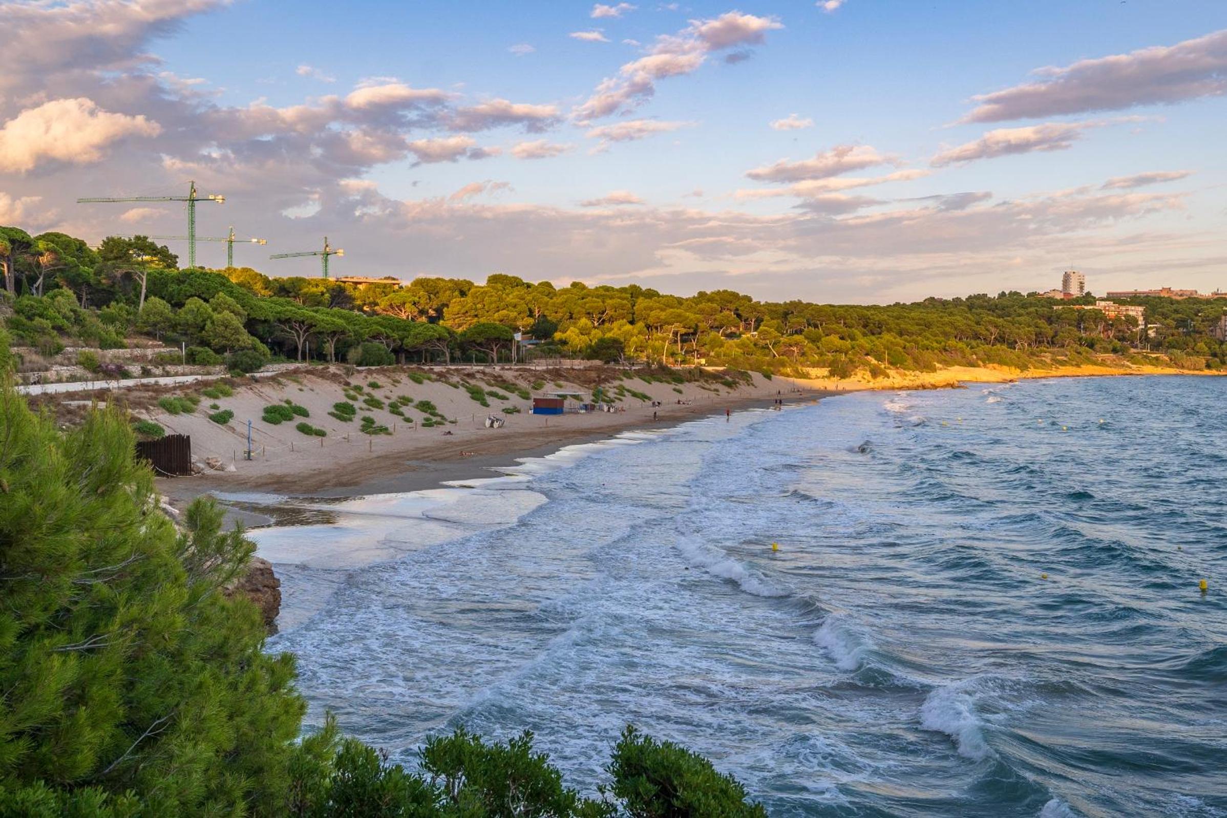 Les Ones Only families photo 3