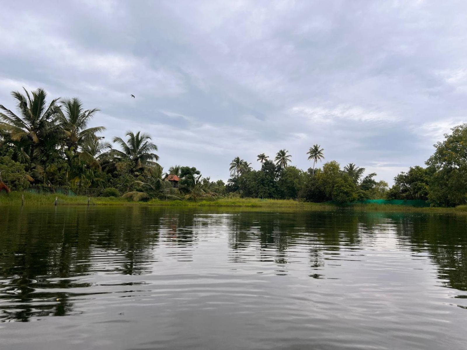 Pambaram Farms