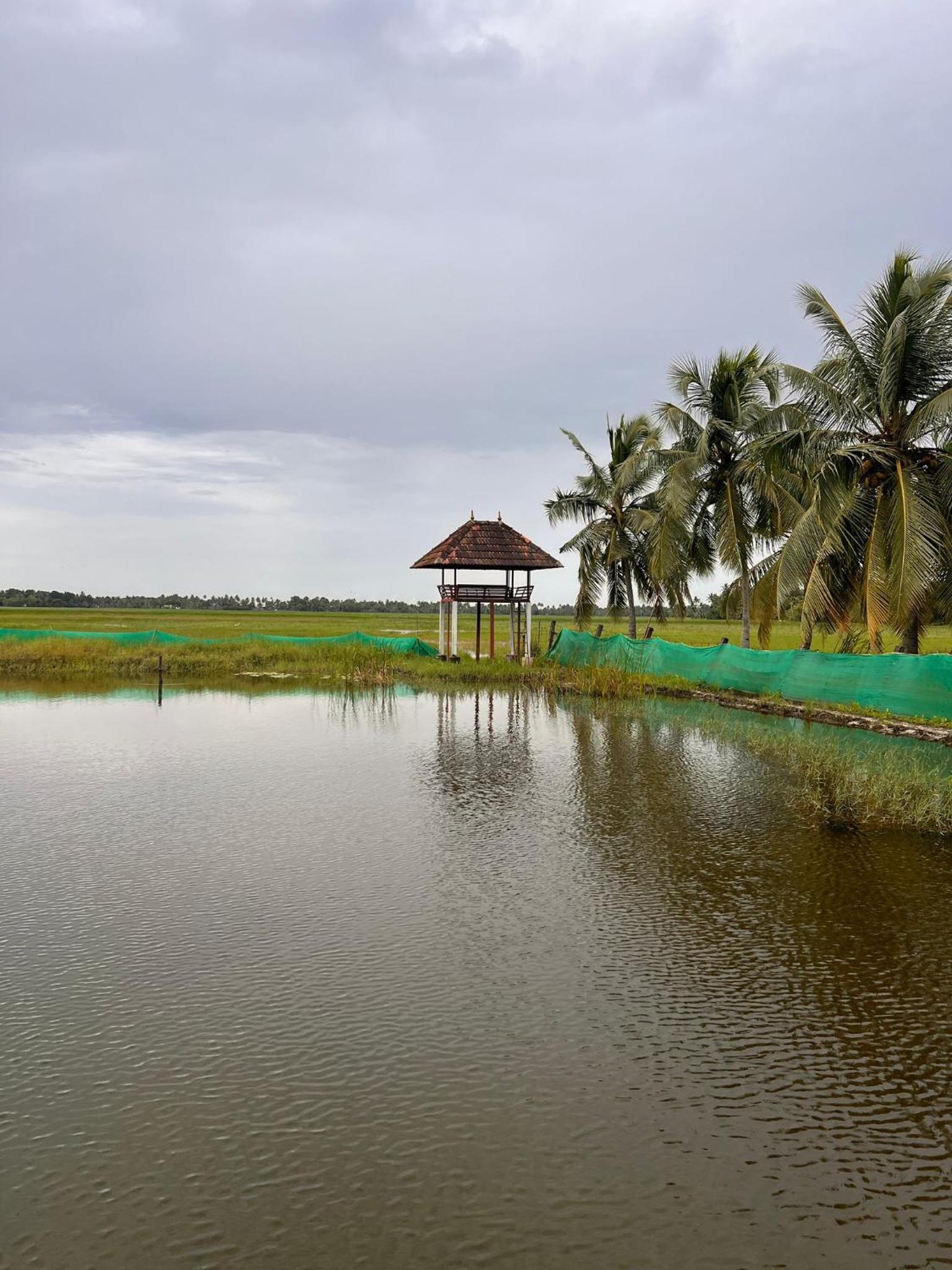 Pambaram Farms